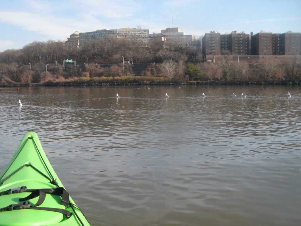 Viewing the Bronx.