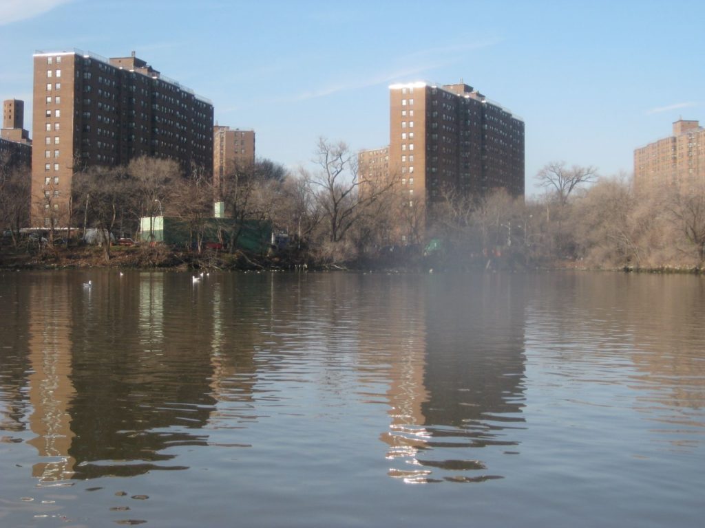 Viewing Harlem.