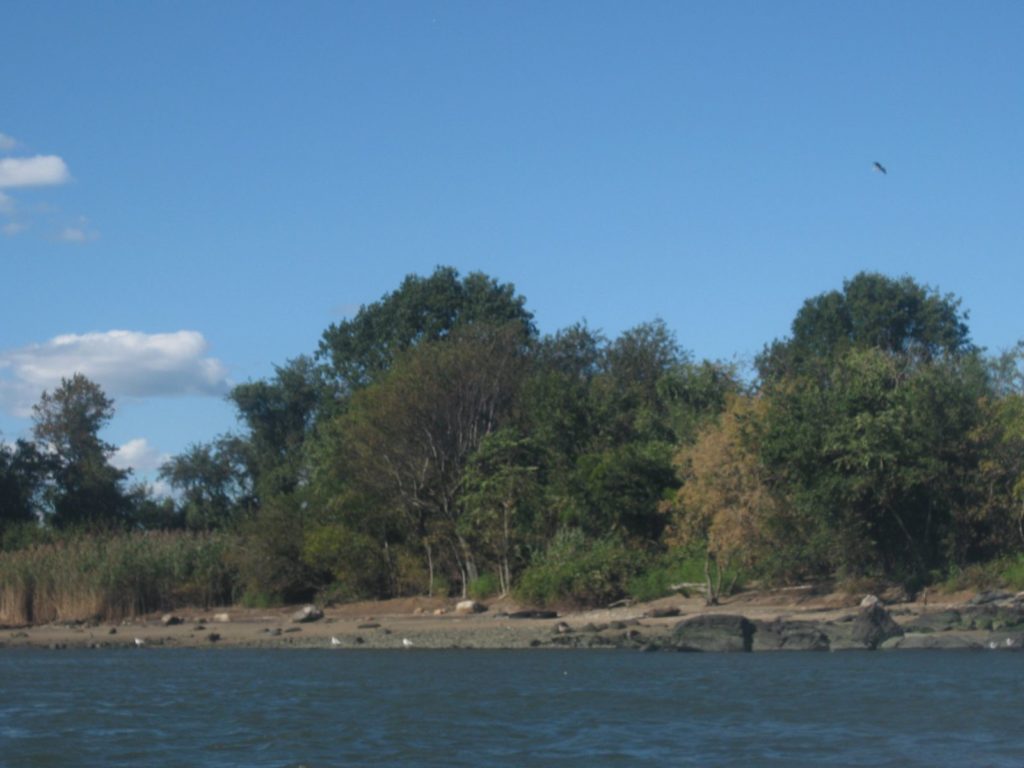 North Brother Island.