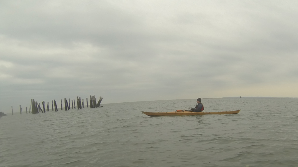 Pilings at Swinburne Island.