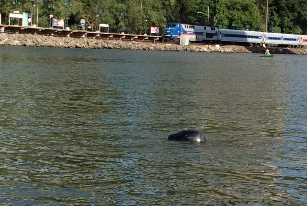 The Inwood Seal