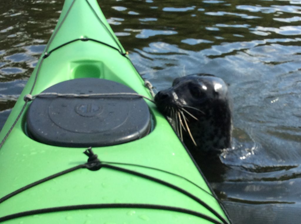 The Inwood Seal