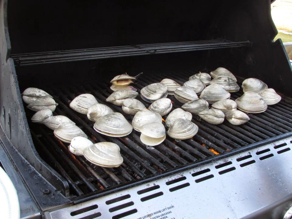 Clams at Sedge Island