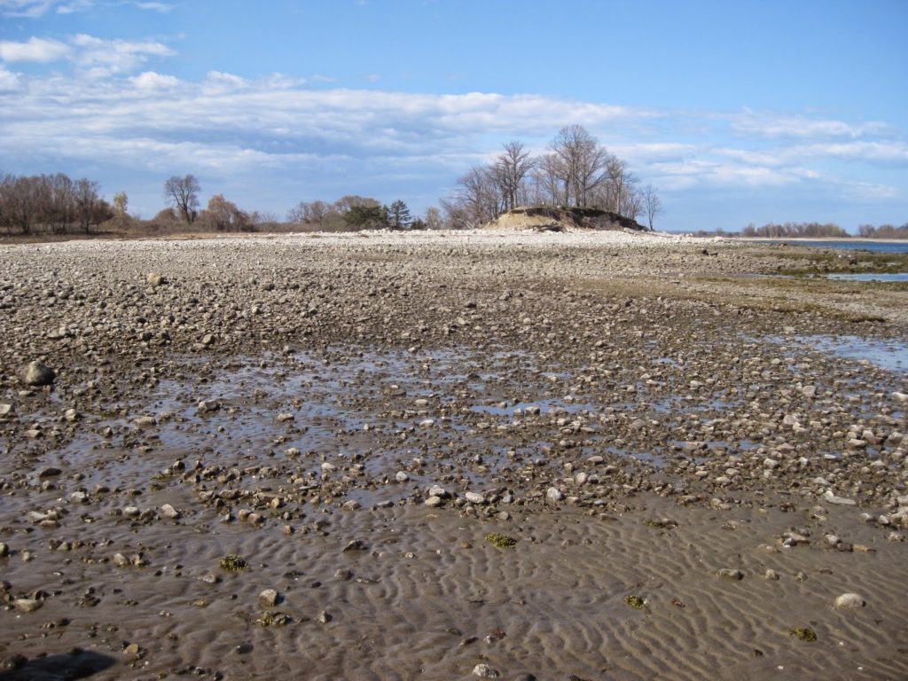 Norwalk Islands, April 2015