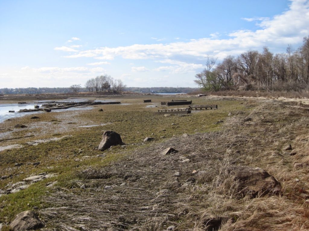 Norwalk Islands, April 2015