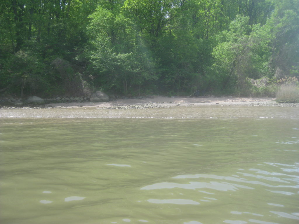 Low Tide