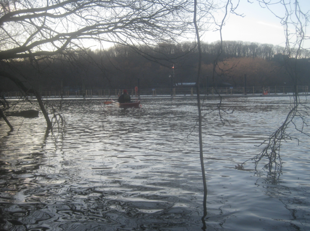 Bucolic Manhattan