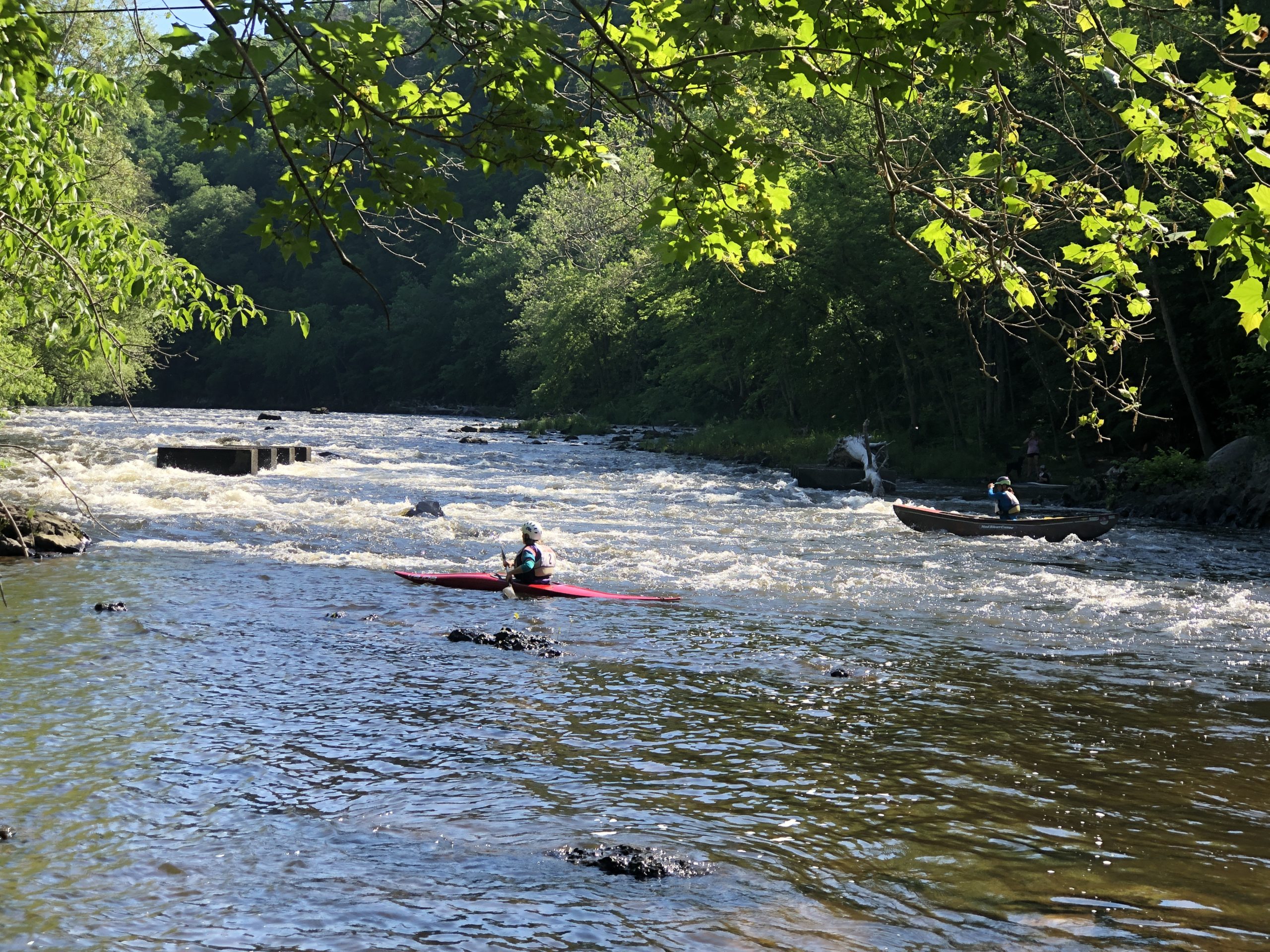 At the Start