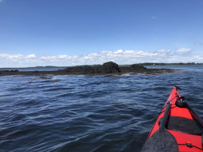 Birthday Paddle