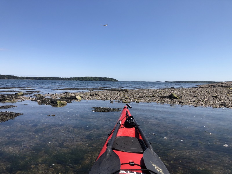 Birthday Paddle