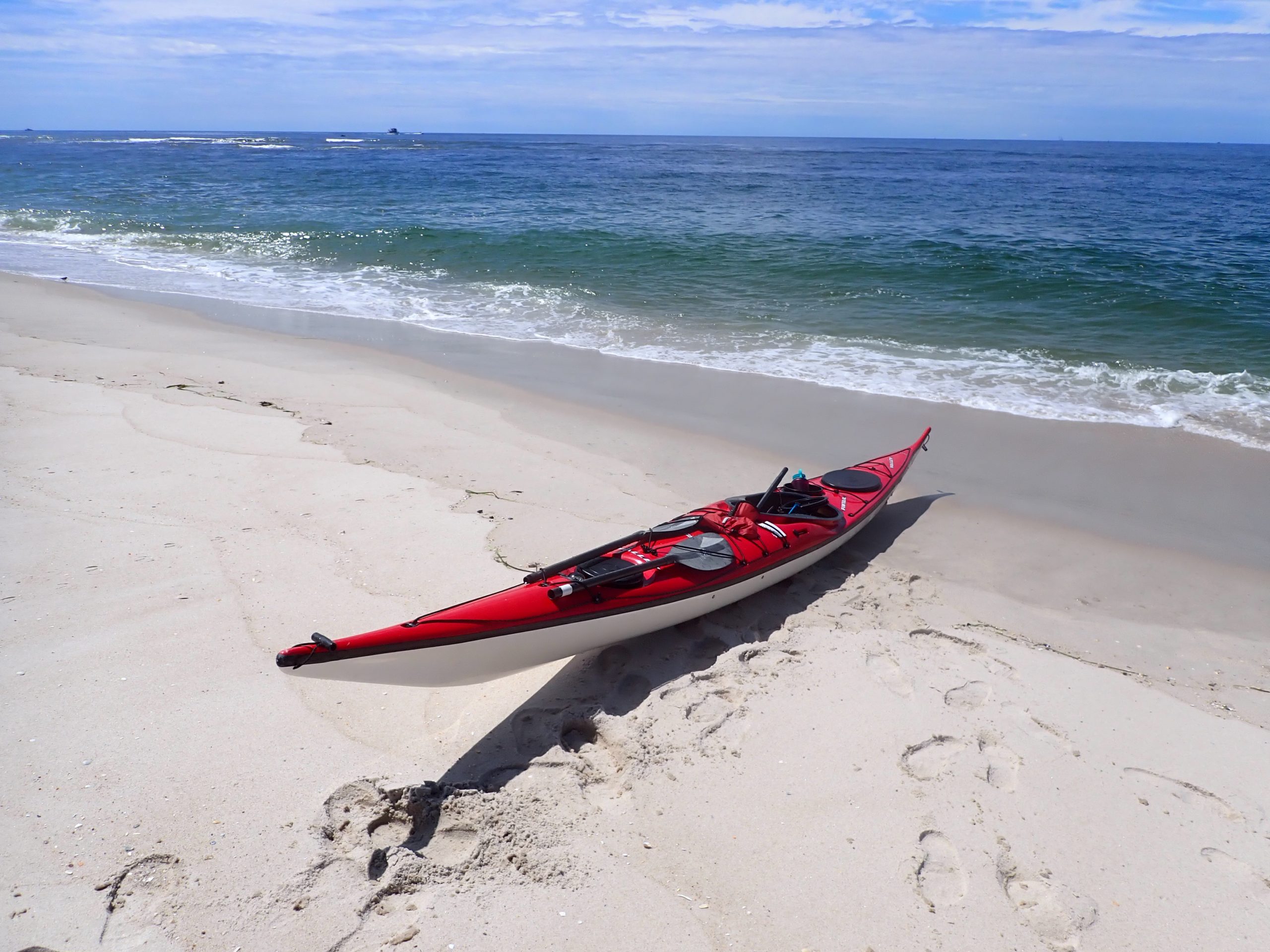 Pintail, Democrat Point, July 2025