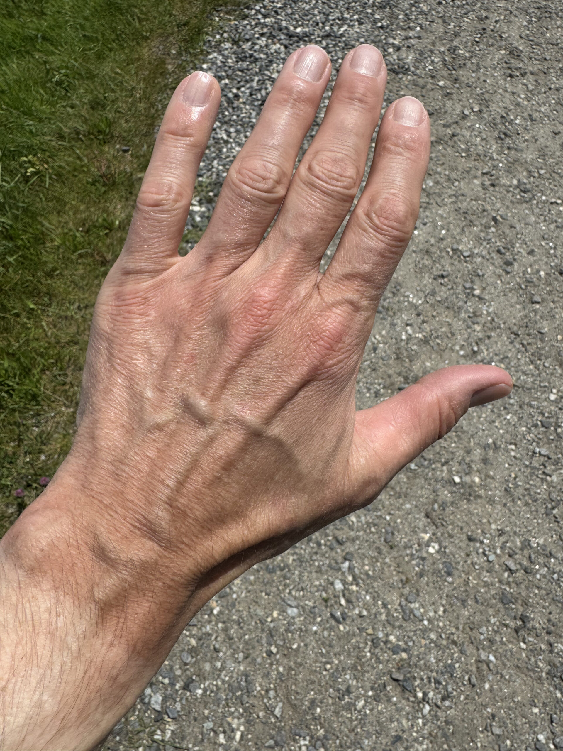 Tan Line